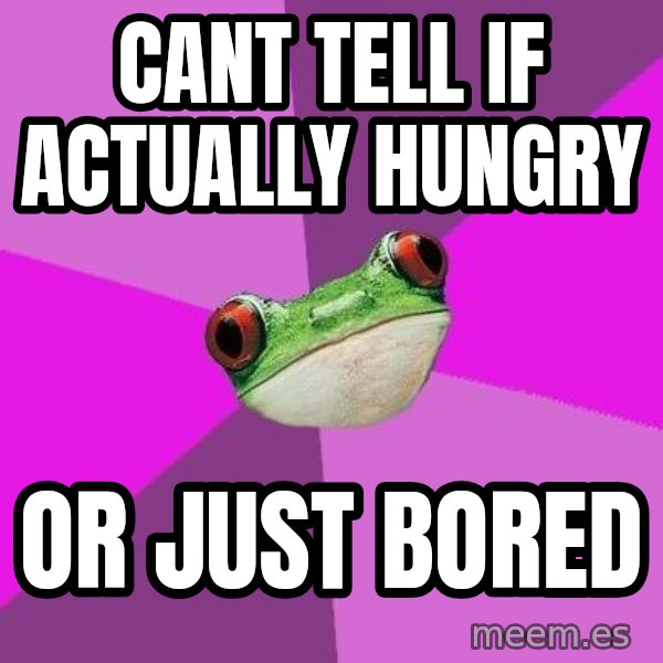 Foul Bachelorette Frog meme: cant tell if actually hungry / or just bored