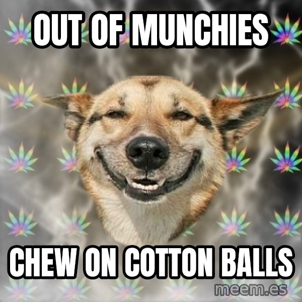 Stoner Dog meme: OUT OF MUNCHIES / CHEW ON COTTON BALLS