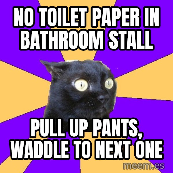 Anxiety Cat meme: no toilet paper in bathroom stall / pull up pants, waddle to next one