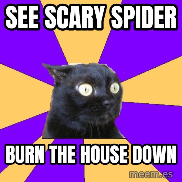 Anxiety Cat meme: see scary spider / burn the house down
