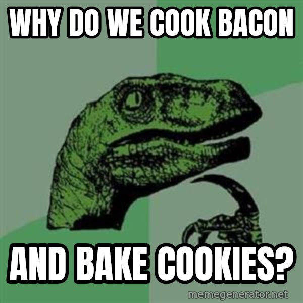 Philosoraptor meme: why do we cook bacon / and bake cookies?