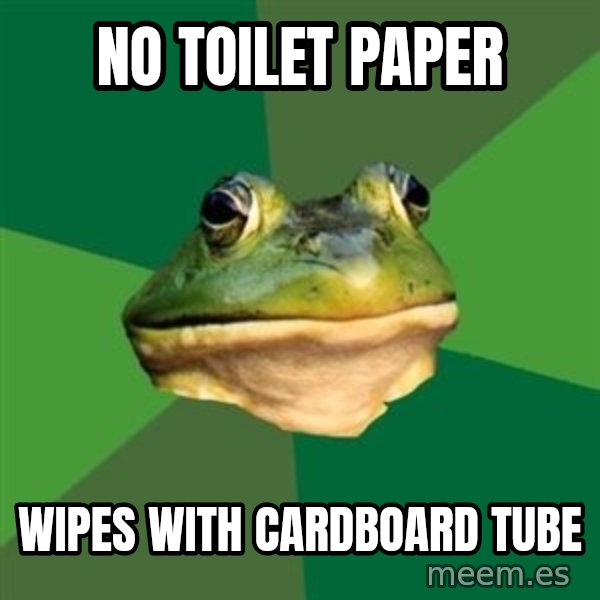 Foul Bachelor Frog meme: no toilet paper / wipes with cardboard tube