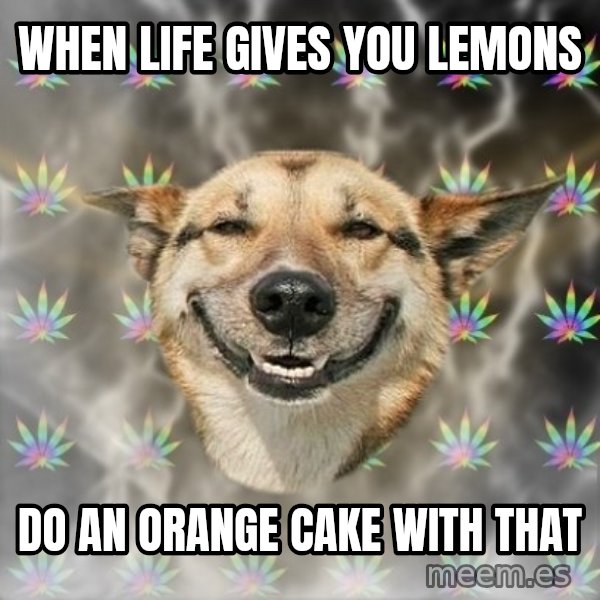Stoner Dog meme: WHEN LIFE GIVES YOU LEMONS / DO AN ORANGE CAKE WITH THAT