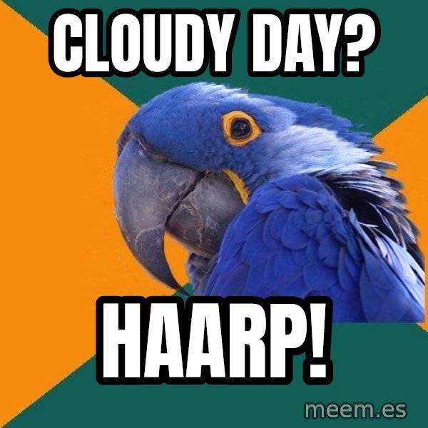 Paranoid Parrot meme: cloudy day? / Haarp!