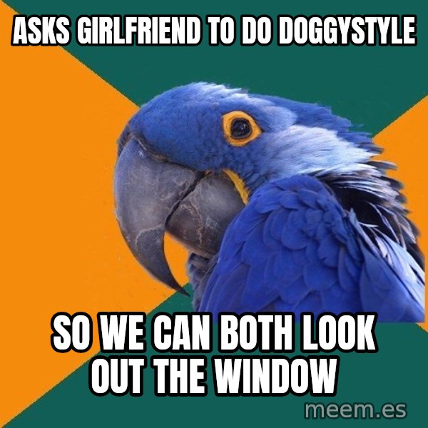 Paranoid Parrot meme: asks girlfriend to do doggystyle / so we can both look out the window