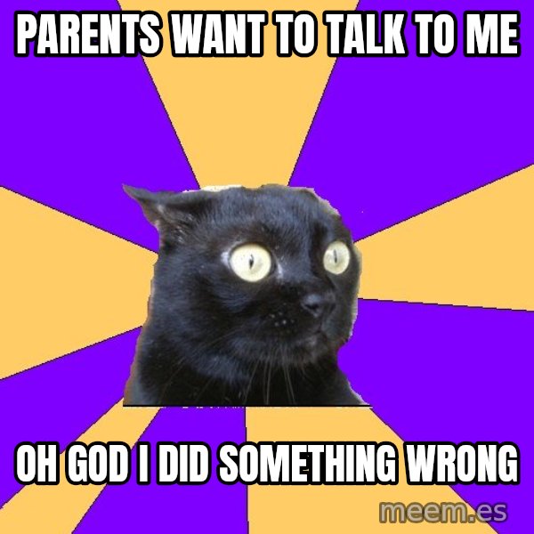 Anxiety Cat meme: Parents want to talk to me / Oh god I did something wRong