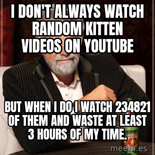 The Most Interesting Man In The World meme: I don't always watch random kitten videos on youtube / but when I do I watch 234821﻿ of them and waste at least 3 hours of my time.
