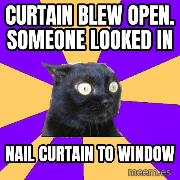 Anxiety Cat meme: Curtain Blew Open. Someone Looked In / Nail curtain TO Window