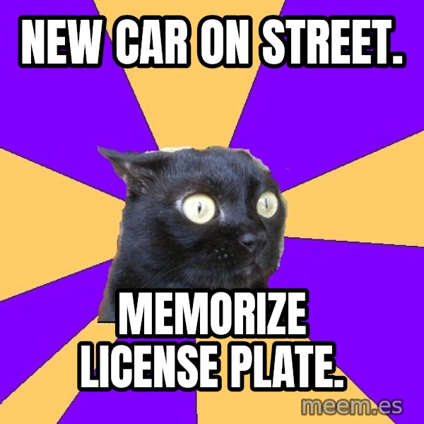 Anxiety Cat meme: New Car On Street. / Memorize License Plate.