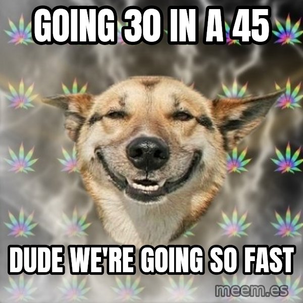 Stoner Dog meme: Going 30 in a 45 / Dude we're going so fast