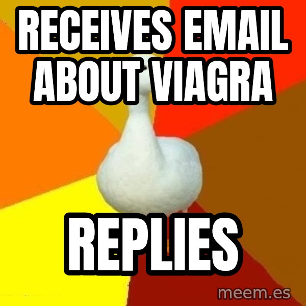 Technologically Impaired Duck meme: receives email about viagra / replies