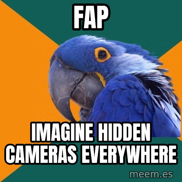 Paranoid Parrot meme: FAP / imagine hidden cameras everywhere