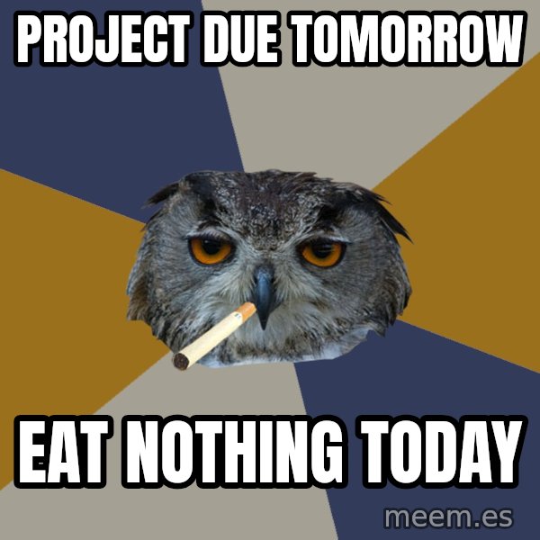 Art Student Owl meme: Project due tomorrow / eat nothing today