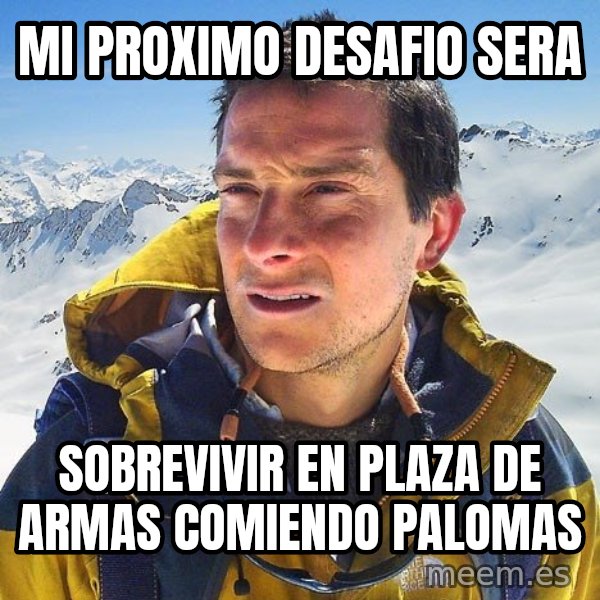 Bear Grylls Loneliness meme: mi proximo desafio sera / sobrevivir en plaza de armas comiendo palomas