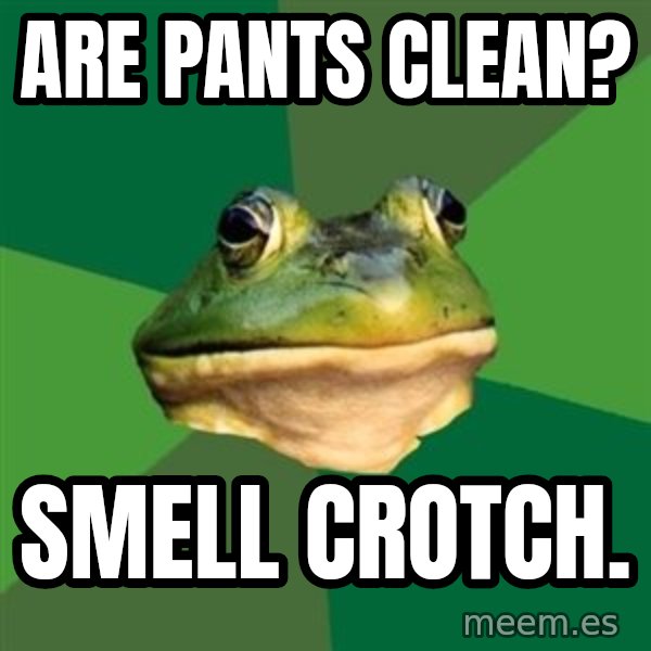 Foul Bachelor Frog meme: are pants clean? / smell crotch.