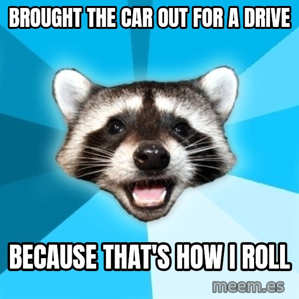 Lame Pun Coon meme: brought the car out for a drive / because that's how I roll