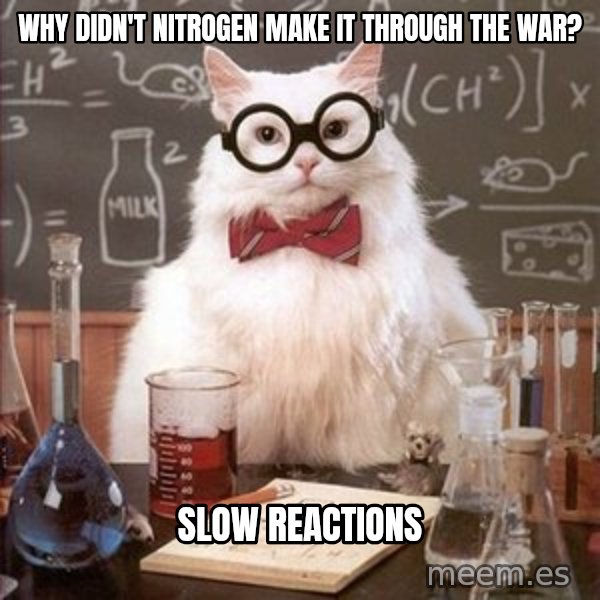 Chemistry Cat meme: Why didn't nitrogen make it through the war? / SLOW REACTIONS