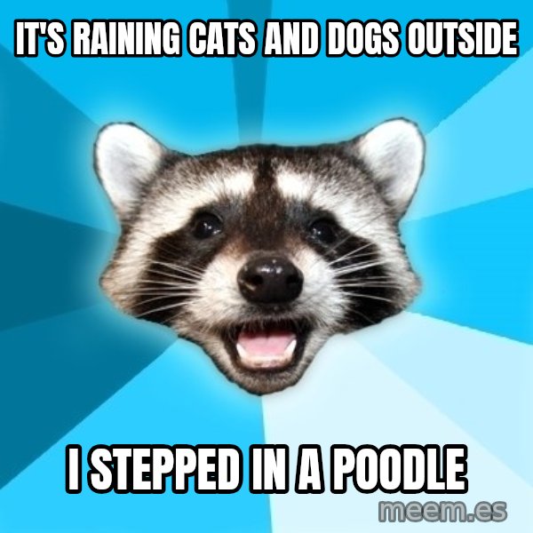 Lame Pun Coon meme: It's raining cats and dogs outside / I stepped in a poodle