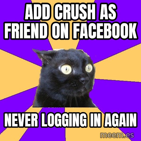 Anxiety Cat meme: Add crush as friend on facebook / never logging in again