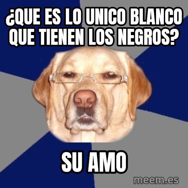 Racist Dog meme: ¿que es lo unico blanco que tienen  los negros? / su amo