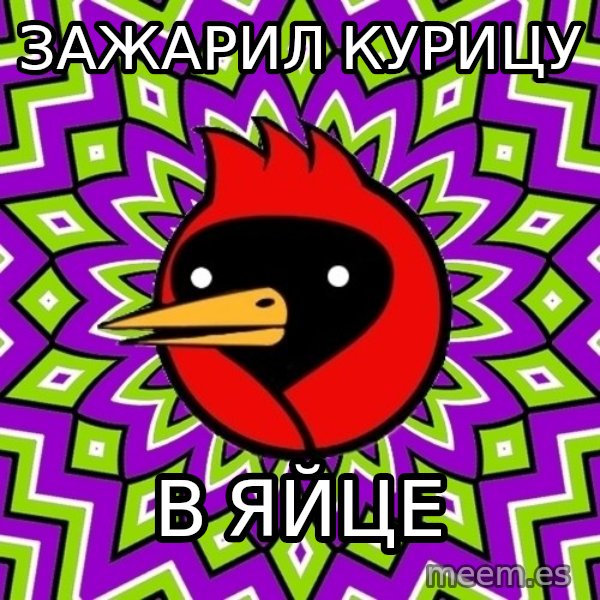 Omsk Crow meme: зажарил курицу / в яйце