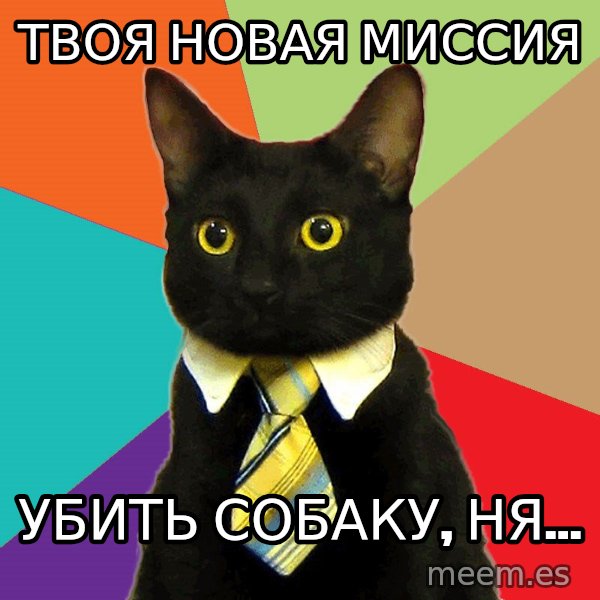 Business Cat meme: твоя новая миссия / убить собаку, ня...