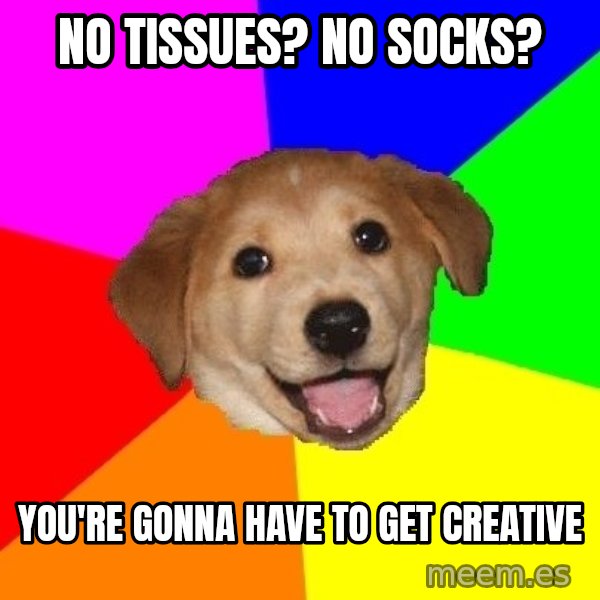 Advice Dog meme: NO TISSUES? NO SOCKS? / YOU'RE GONNA HAVE TO GET CREATIVE
