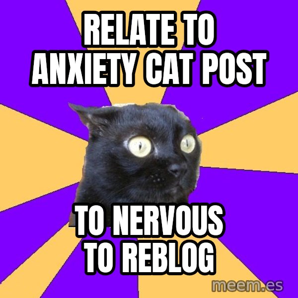Anxiety Cat meme: RElate to anxiety cat post / To nervous to reblog