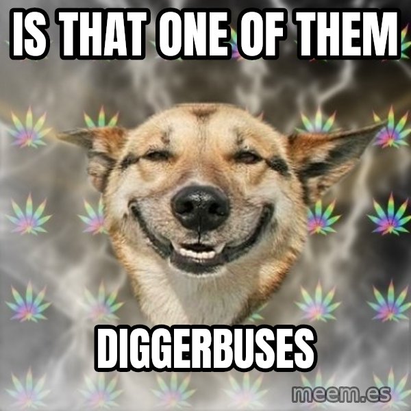 Stoner Dog meme: is that one of them / diggerBuses