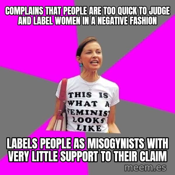 Feminist Cunt meme: Complains that people are too quick to judge and label women in a negative fashion / labels people as misogynists with very little support to their claim