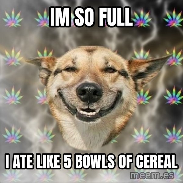 Stoner Dog meme: im so full / i ate like 5 bowls of cereal