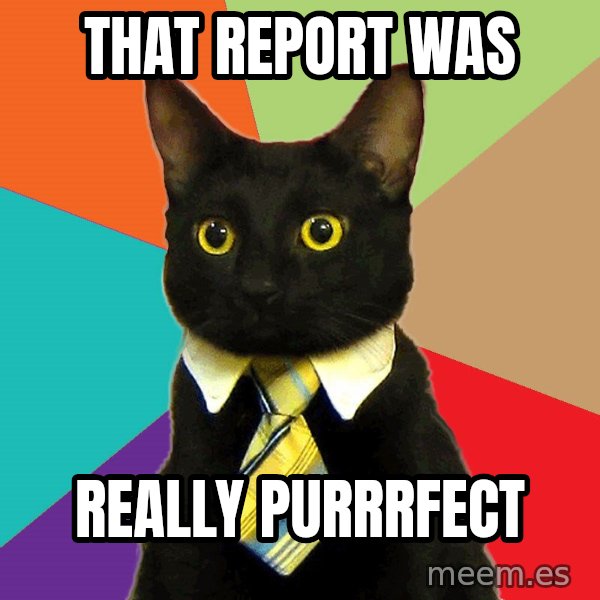 Business Cat meme: that report was / really purrrfect