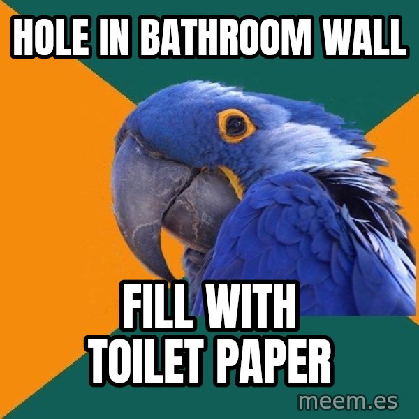 Paranoid Parrot meme: Hole in Bathroom wall / Fill with Toilet paper