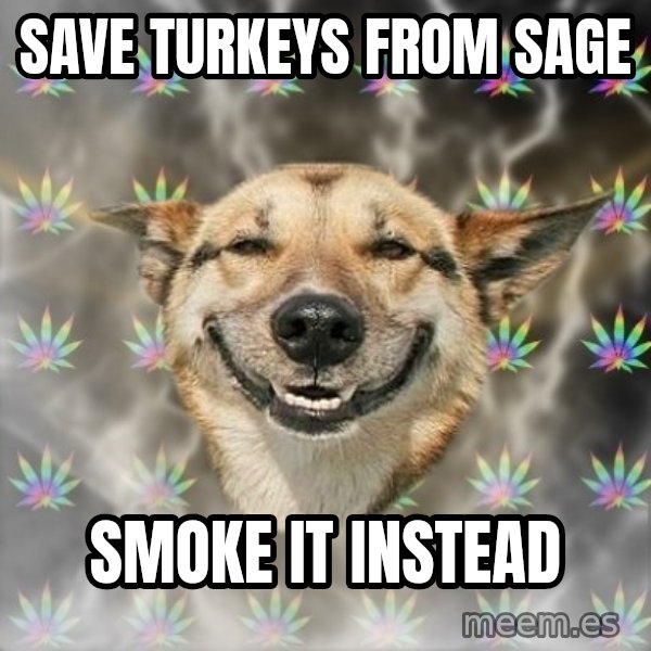 Stoner Dog meme: save turkeys from sage / smoke it instead