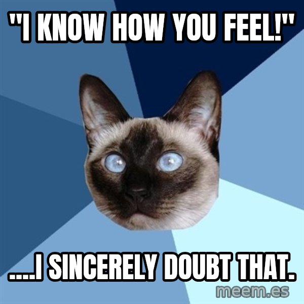 Chronic Illness Cat meme: "I know how you feel!" / ....I sincerely doubt that.