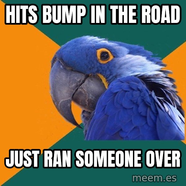 Paranoid Parrot meme: hits bump in the road / just ran someone over