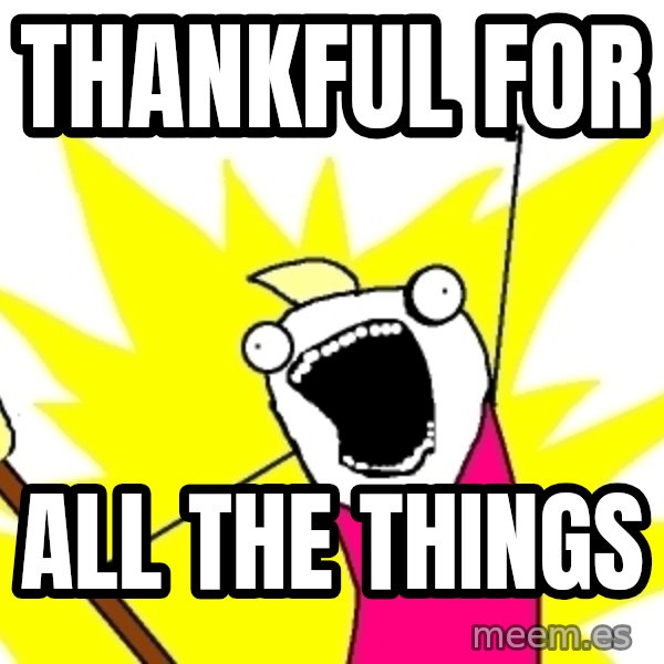 X ALL THE THINGS meme: Thankful for / all the things