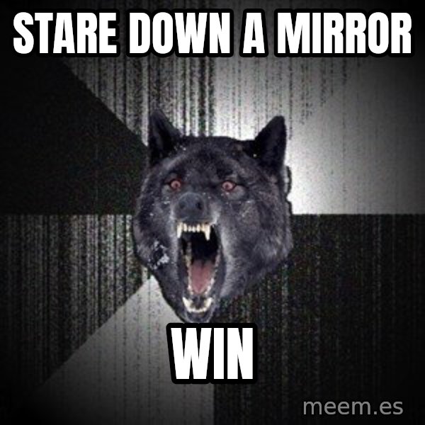 Insanity Wolf meme: stare down a mirror / win