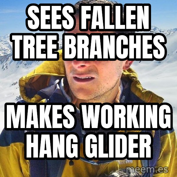 Bear Grylls meme: sees fallen tree branches / makes working hang glider
