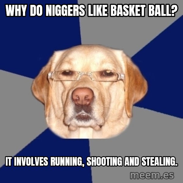 Racist Dog meme: Why do niggers like basket ball? / It involves running, shooting and stealing.
