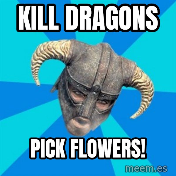 skyrim stan meme: Kill dragons / pick flowers!