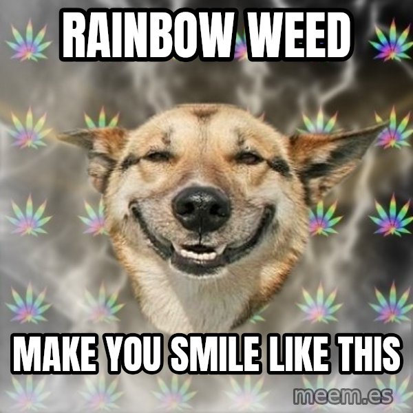 Stoner Dog meme: Rainbow weed / make you smile like this