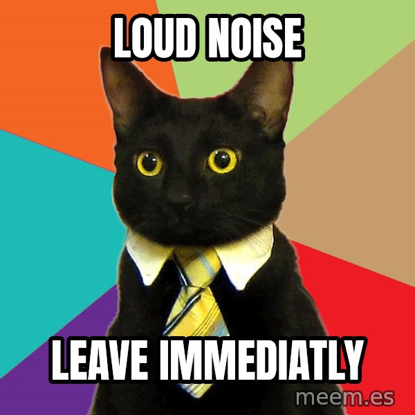 Business Cat meme: loud noise / leave immediatly