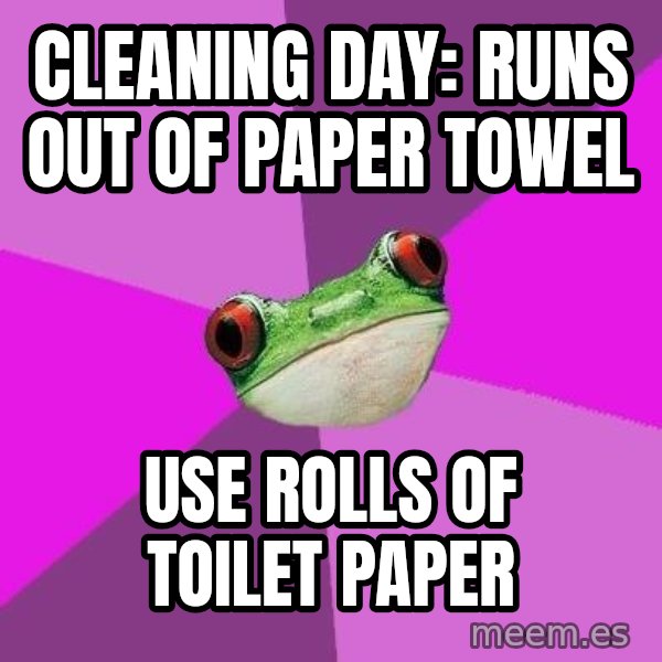 Foul Bachelorette Frog meme: cLEANING DAY: RUNS OUT OF PAPER TOWEL / USE ROLLS OF TOILET PAPER