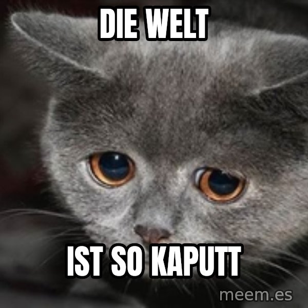 Sadcat meme: die welt / ist so kaputt