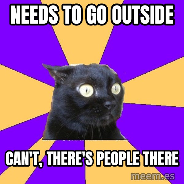 Anxiety Cat meme: needs to go outside / can't, there's people there