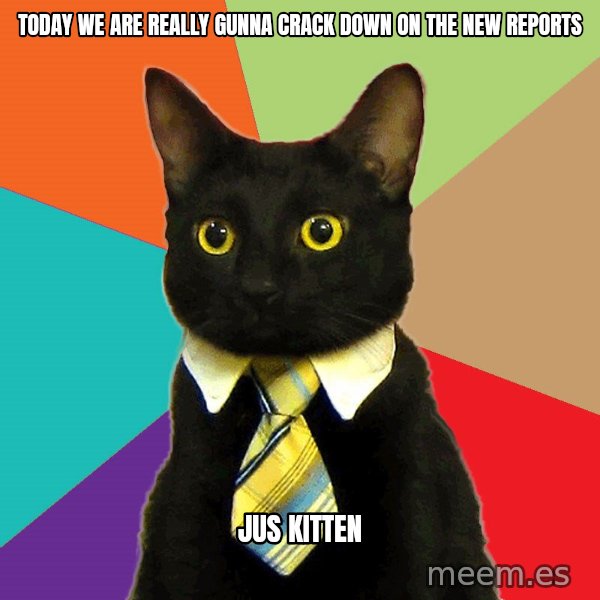 Business Cat meme: Today we are really gunna crack down on the new reports / jus kitten