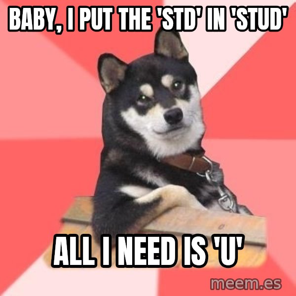 Cool Dog meme: baby, i put the 'std' in 'stud' / all i need is 'u'