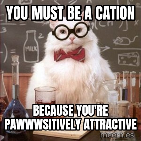 Chemistry Cat meme: You must be a cation / because you're pawwwsitively attractive