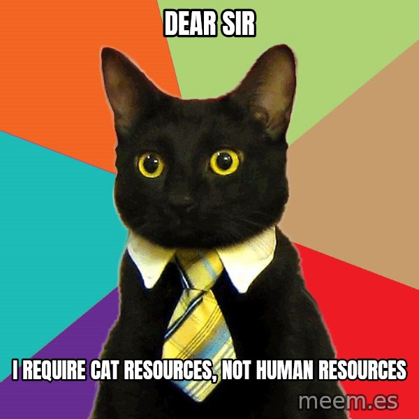 Business Cat meme: Dear Sir / I require Cat Resources, Not human resources